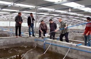 科技賦能 生態(tài)融合 重慶長壽工廠化養(yǎng)魚模式對涪陵漁業(yè)發(fā)展的啟示