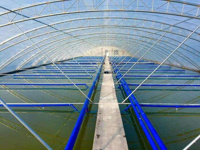 頭部烤魚品牌攜手水產(chǎn)巨頭，共筑“活魚現(xiàn)烤”行業(yè)新標(biāo)桿