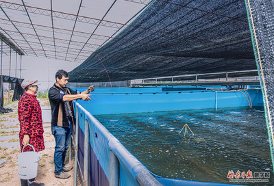 工廠化養(yǎng)魚 現(xiàn)代水產(chǎn)品養(yǎng)殖的高效革命